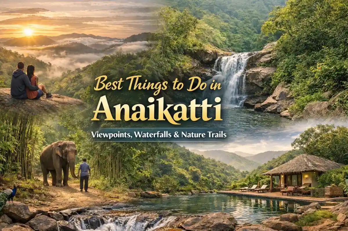 Things to do in Anaikatti